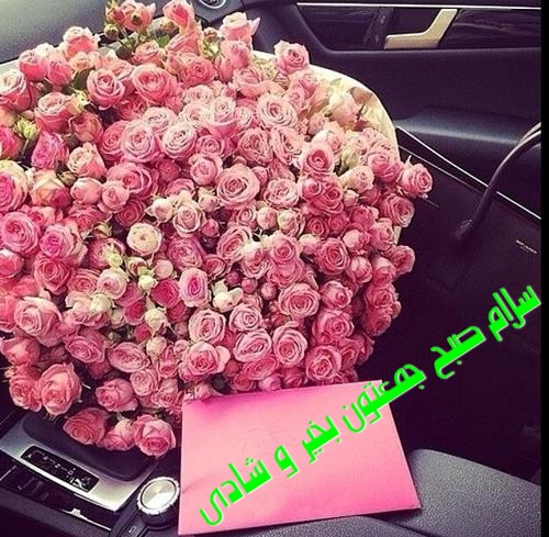 http://toptoop.ir/files/pic/460/01/toptoop.irسلام صبح جمعتون بخیر و شادی.jpg